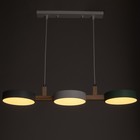 Светильник BayerLux «Пиатти» 3LED 72 Вт 3000-6000К зеленый белый серый 75×18×5-129 см - фото 5033603