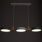 Светильник BayerLux «Пиатти» 3LED 72 Вт 3000-6000К зеленый белый серый 75×18×5-129 см - фото 5033604
