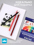Цветные карандаши 48 цветов, Луч «Классика», шестигранные - Фото 2