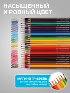 Цветные карандаши 48 цветов, Луч «Классика», шестигранные - Фото 3