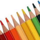 Цветные карандаши 48 цветов, Луч "Классика", шестигранные - Фото 4