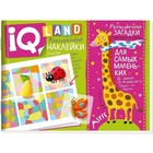 IQ задачки с многоразовыми наклейками. Разноцветные загадки. Куликова Е.Н. - Фото 1