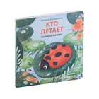 Кто летает. Загадки-рифмы. Сосновский Е. - Фото 1