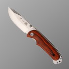 Нож складной Stinger, 9 см, лезвие - 3Cr13, рукоять - дерево - Фото 2