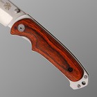 Нож складной Stinger, 9 см, лезвие - 3Cr13, рукоять - дерево - Фото 3
