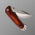 Нож складной Stinger, 9 см, лезвие - 3Cr13, рукоять - дерево - Фото 4