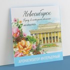 Ароматизатор в конверте «Новосибирск», зелёный чай, 11 х 11 см - фото 9941421