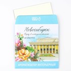 Ароматизатор в конверте «Новосибирск», зелёный чай, 11 х 11 см - фото 24642856