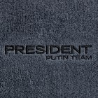 Полотенце махровое Putin team 30*60 см, цв. серый,  100% хлопок, 420 г/м2 7987013 - фото 16994997