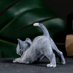 Фигурка «Котенок играет», 7 см