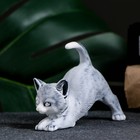 Фигурка «Котенок играет», 7 см 9226100