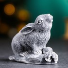 Сувенир "Кролик с морковкой" 6,5см - фото 9941586
