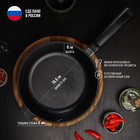 Сковорода литая Magma, d=24 см, h=6 см, пластиковая ручка, индукция, чугун, чёрная - Фото 2