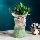 Ваза «Олень в очках», 22×15×26 см - Фото 5