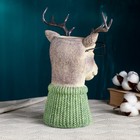 Ваза «Олень в очках», 22×15×26 см - Фото 2