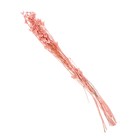 Сухоцвет «Бадьян», розовый, 50 г в упаковке - фото 24608758