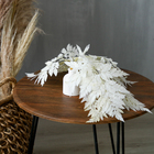 Сухоцвет «Папоротник», белый, 10 шт. в упаковке - Фото 2