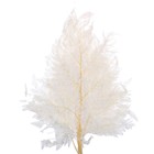 Сухоцвет «Папоротник», белый, 10 шт. в упаковке - фото 9116905