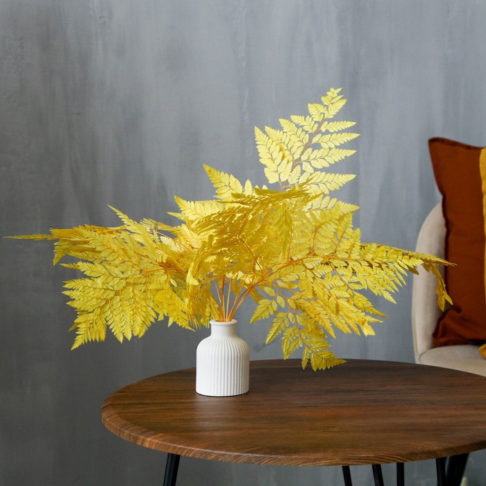 Сухоцвет «Папоротник», жёлтый, 10 шт. в упаковке - Фото 1
