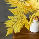 Сухоцвет «Папоротник», жёлтый, 10 шт. в упаковке - Фото 2