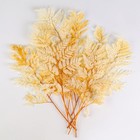 Сухоцвет «Папоротник», жёлтый, 10 шт. в упаковке - Фото 4