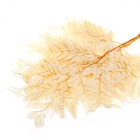 Сухоцвет «Папоротник», жёлтый, 10 шт. в упаковке - Фото 5