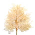 Сухоцвет «Папоротник», жёлтый, 10 шт. в упаковке - Фото 6