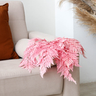 Сухоцвет «Папоротник», розовый, 10 шт. в упаковке - фото 320149753