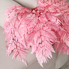 Сухоцвет «Папоротник», розовый, 10 шт. в упаковке - фото 7436587