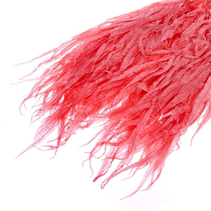 Сухоцвет «Ситник», красный, 15 шт. в упаковке - Фото 1