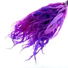 Сухоцвет «Ситник», фиолетовый, 15 шт. в упаковке - фото 9942328
