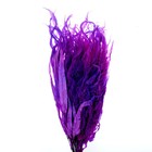 Сухоцвет «Ситник», фиолетовый, 15 шт. в упаковке - Фото 2