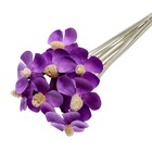 Сухоцвет «Фиалка», фиолетовый, 12 шт. в упаковке - фото 9942331