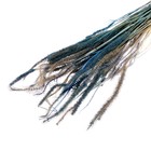 Сухоцвет «Щетинник», синий, 30 - 50 г в упаковке - Фото 1