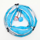 Туннель для кошек с 2 игрушками, 120 х 25 см, голубой - Фото 6