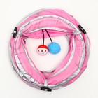 Туннель для кошек с 2 игрушками, 120 х 25 см, розовый - Фото 6