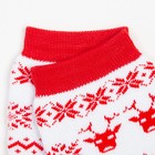 Носки махровые, цвет белый/красный, размер 23-25 (комплект 6 шт) - фото 33625454