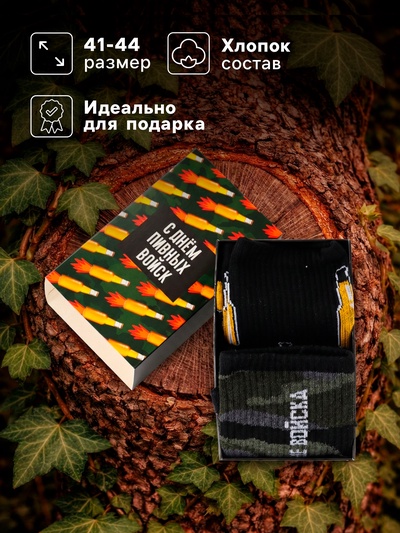 Носки мужские KAFTAN «Диванные войска», набор 2 пары, размер 41-44 (27-29 см)