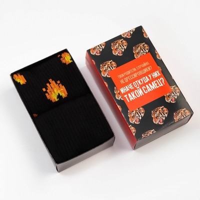 Набор мужских носков KAFTAN «Самец», 2 пары, размер 41-44 (27-29 см)