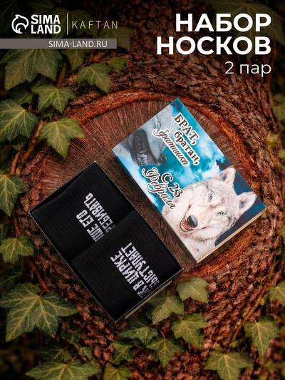 Набор мужских носков KAFTAN «Волк», набор 2 пары, размер 41-44 (27-29 см)