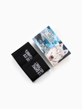 Набор мужских носков KAFTAN «Волк», набор 2 пары, размер 41-44 (27-29 см) 9050557