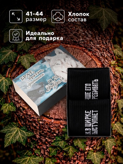 Набор мужских носков KAFTAN «Волк», набор 2 пары, размер 41-44 (27-29 см)