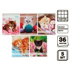 Комплект тетрадей из 5 штук, 36 листов в клетку Calligrata "Котята", обложка мелованный картон, блок офсет - Фото 1