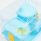 Клетка для грызунов "Пижон", двухэтажная с наполнением 31 х 24 х 29 см, голубая - Фото 5