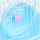 Клетка для грызунов "Пижон", двухэтажная с наполнением 31 х 24 х 29 см, голубая - Фото 8