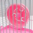 Клетка для грызунов «Пижон», 31×24×29 см двухэтажная. с наполнением, розовая - Фото 6