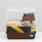 Клетка для грызунов "Пижон", двухэтажная с наполнением 31 х 24 х 29 см, коричневая - Фото 2