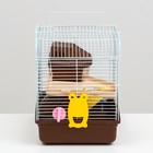 Клетка для грызунов "Пижон", двухэтажная с наполнением 31 х 24 х 29 см, коричневая - Фото 3