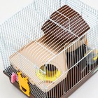 Клетка для грызунов "Пижон", двухэтажная с наполнением 31 х 24 х 29 см, коричневая - Фото 4