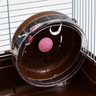 Клетка для грызунов "Пижон", двухэтажная с наполнением 31 х 24 х 29 см, коричневая - Фото 8